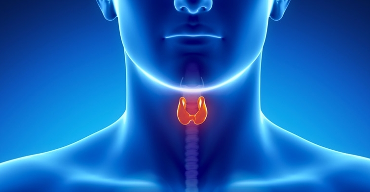 Endocrinologia + Centro Medico Futura