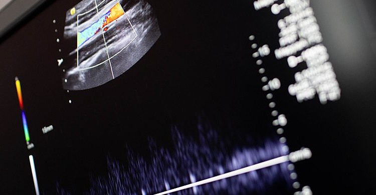 Chirurgia vascolare e angiologia + Centro Medico Futura